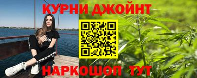 гидра Новодвинск