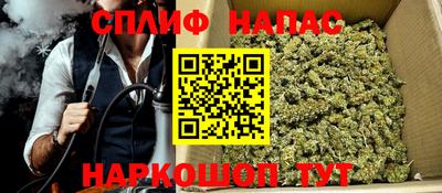 гидра Новодвинск