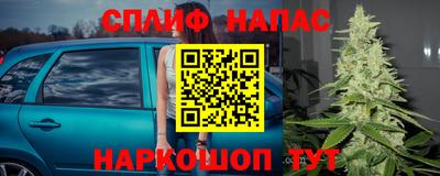 МДПВ Новокубанск