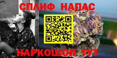 гидра Новодвинск