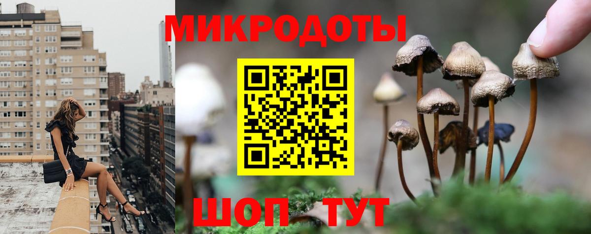 Сегежа  Галлюциногенные грибы прущие грибы  Вход с VPN 